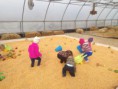 /album/photo-gallery-toddler/corn-fun-jpg/